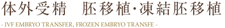 体外受精 肺移植・凍結胚移植